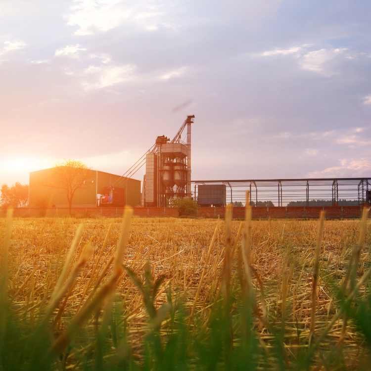 Shree Shyam Agro Impex